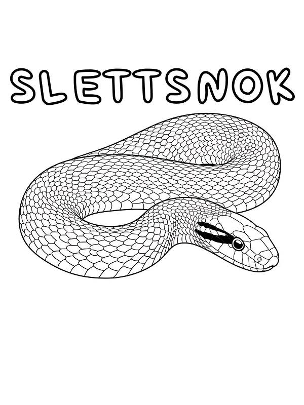 Slettsnok silhuett