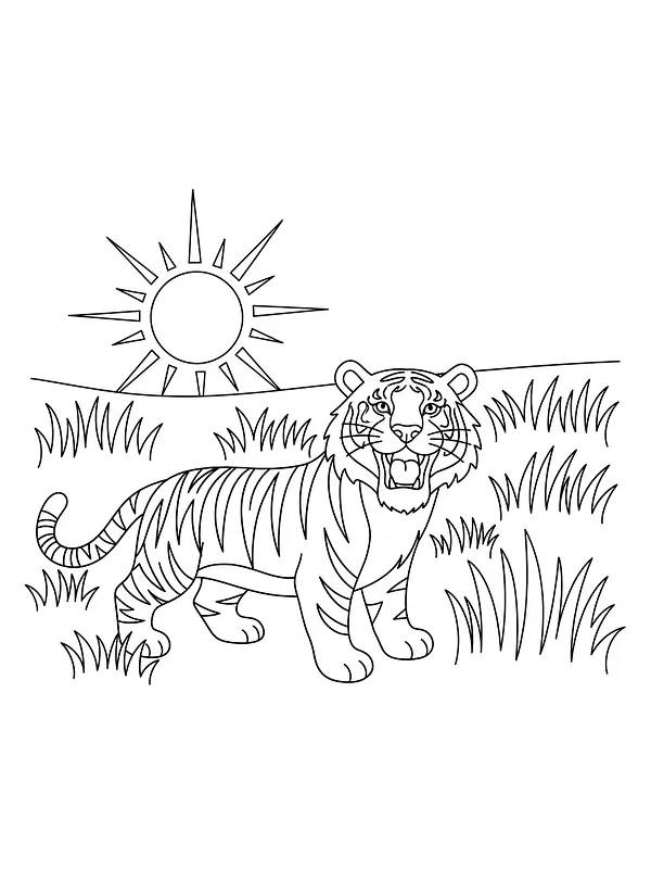 Tiger i solrig jungle, underkategori