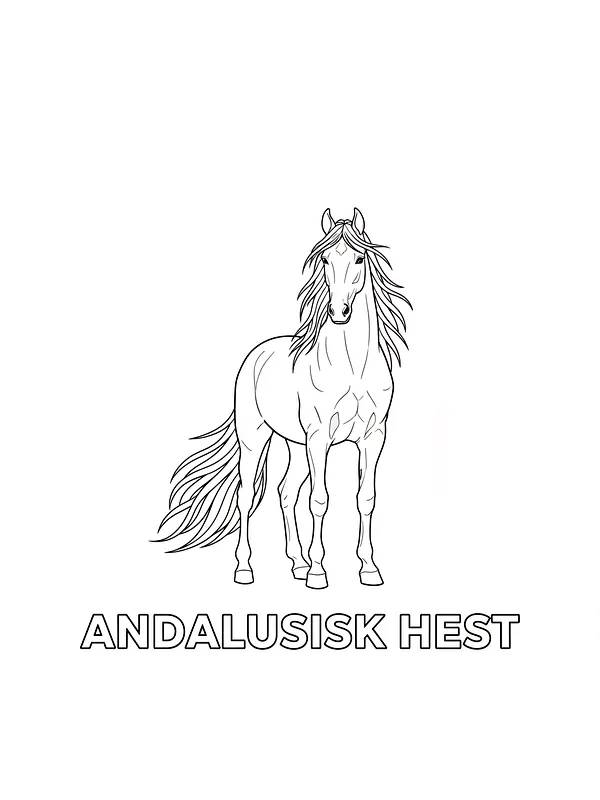Andalusisk hest står stolt, underkategori