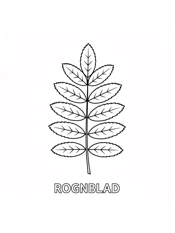 Rognblad, underkategori