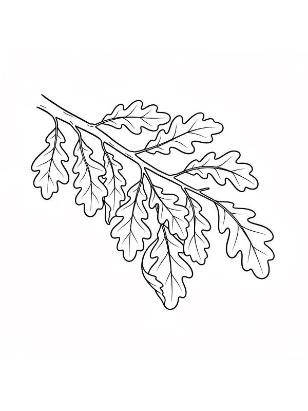 Grener med eikeblader, underkategori