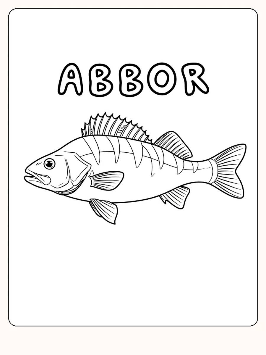 Fargeleggingsbilde av en abbor med store finner, klar for utskrift