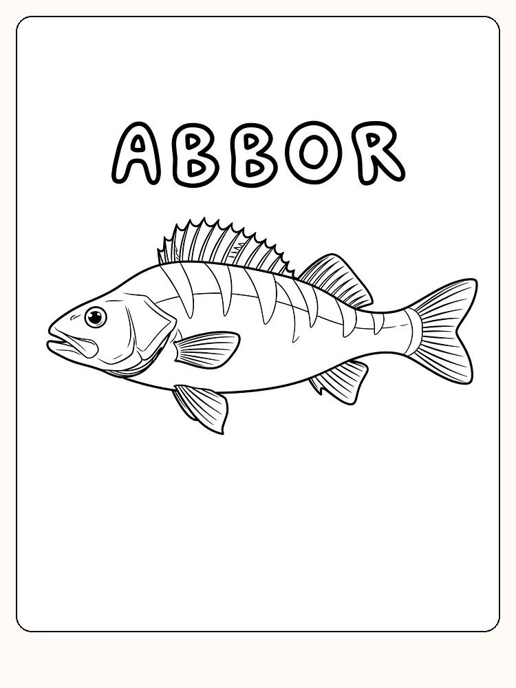 Fargeleggingsbilde av en abbor med store finner, klar for utskrift