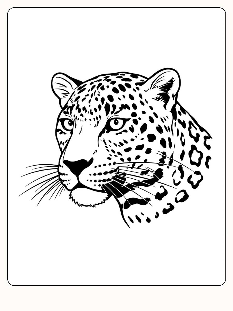 Fargeleggingstegning av leopardhode med naturtro detaljer, klar for utskrift