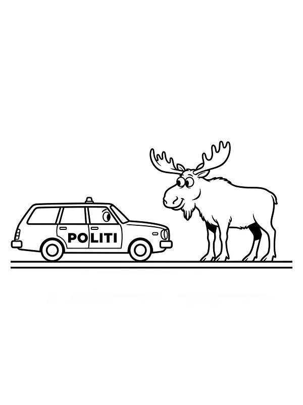 Elg møter politibil