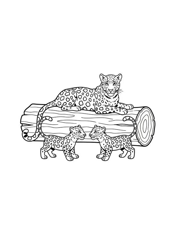 Leopard med unger på trestamme, underkategori