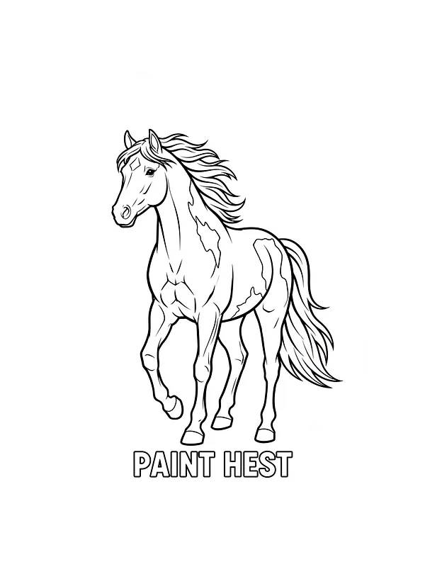 Paint hest tegning, underkategori