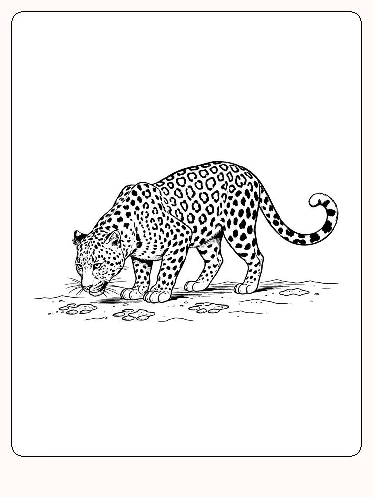Fargeleggingstegning av en leopard som snuser i jungelen, klar for nedlasting