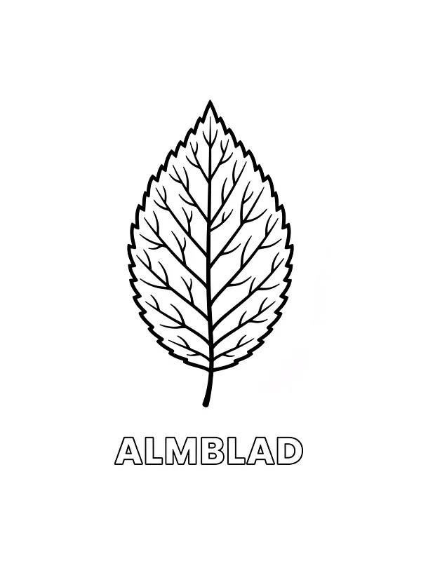 Almeblad med tydelige årer, underkategori