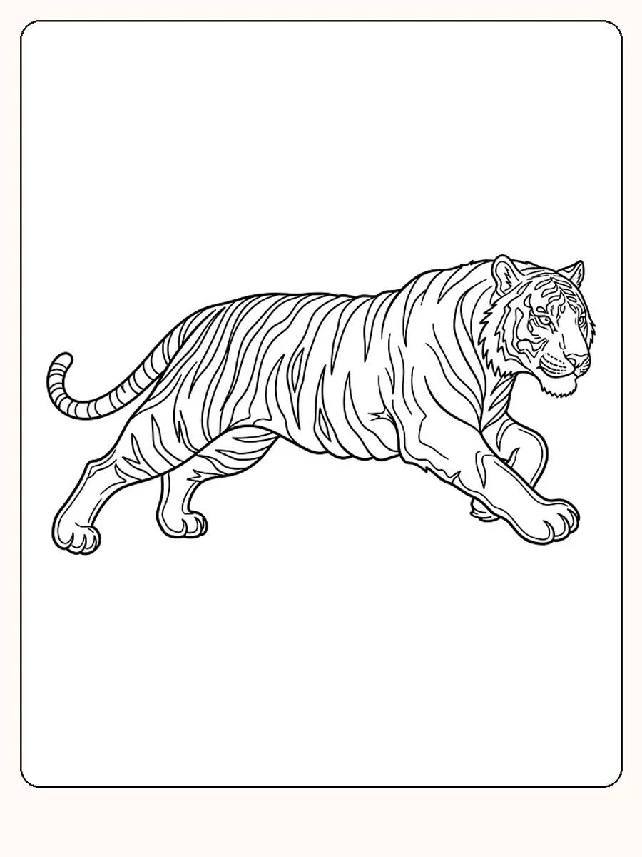 Tegning til farvelægning af en tiger med striber, der går en tur, klar til print