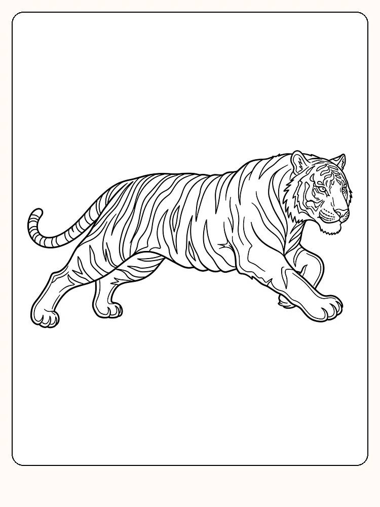 Tegning til farvelægning af en tiger med striber, der går en tur, klar til print