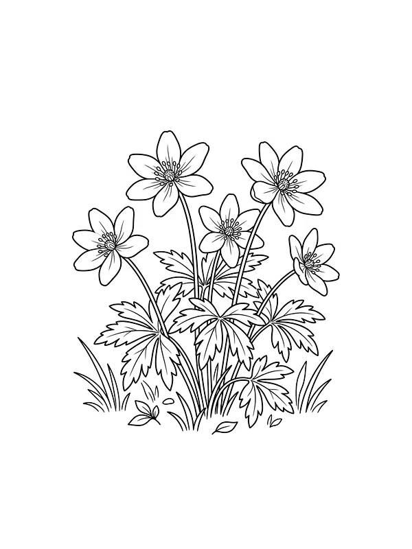 Hvitveisblomster i gresset