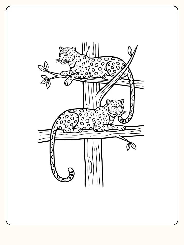 Fargeleggingsbilde med to leoparder som hviler i et tre, klare for utskrift