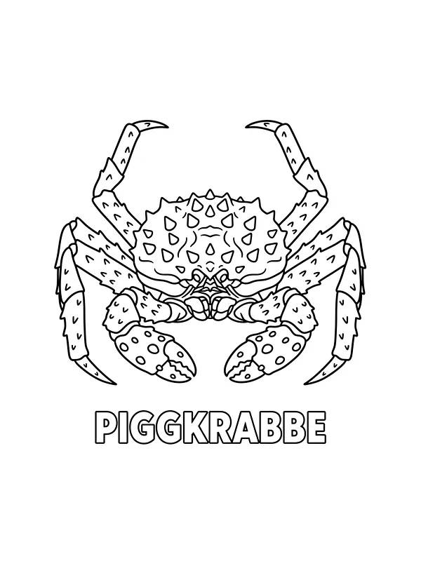 Piggkrabbe tegning, underkategori