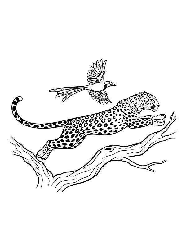 Jaguar hopper på gren, underkategori