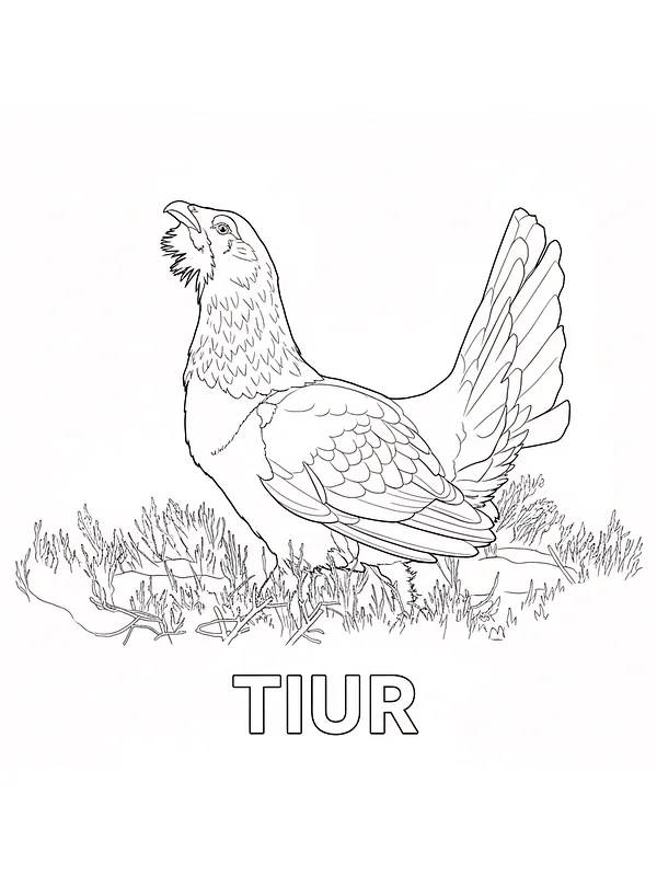 Tiur blant gress, underkategori