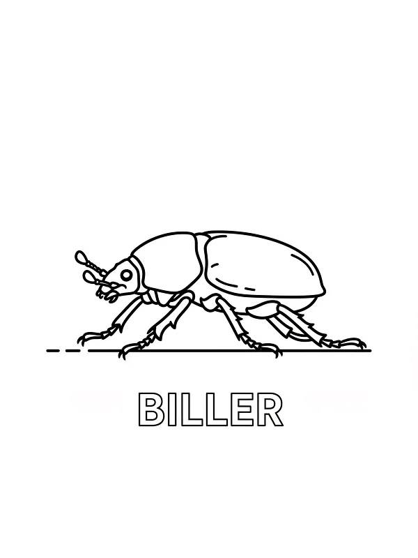 Bille i profiltegning, underkategori