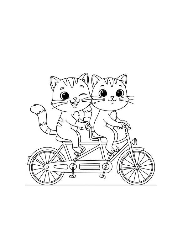 To katter på tandemsykkel, underkategori