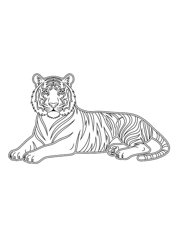 Tiger, der hviler, underkategori