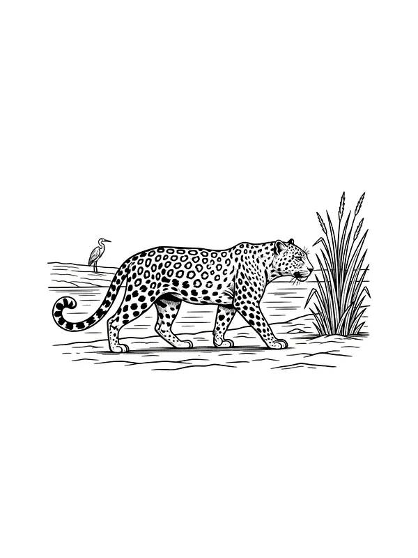 Leopard ved elven, underkategori