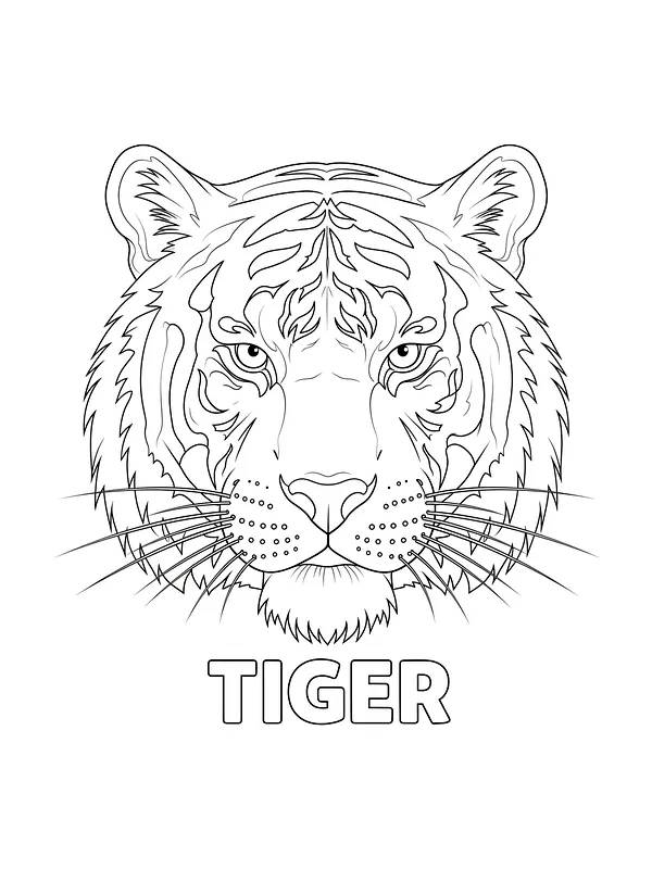 Tigerportræt til farvelægning, underkategori