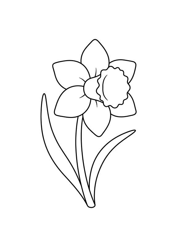 Blomst med påskelilje og trompet