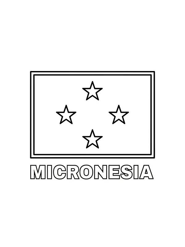 Mikronesiens Flagge, Unterkategorie