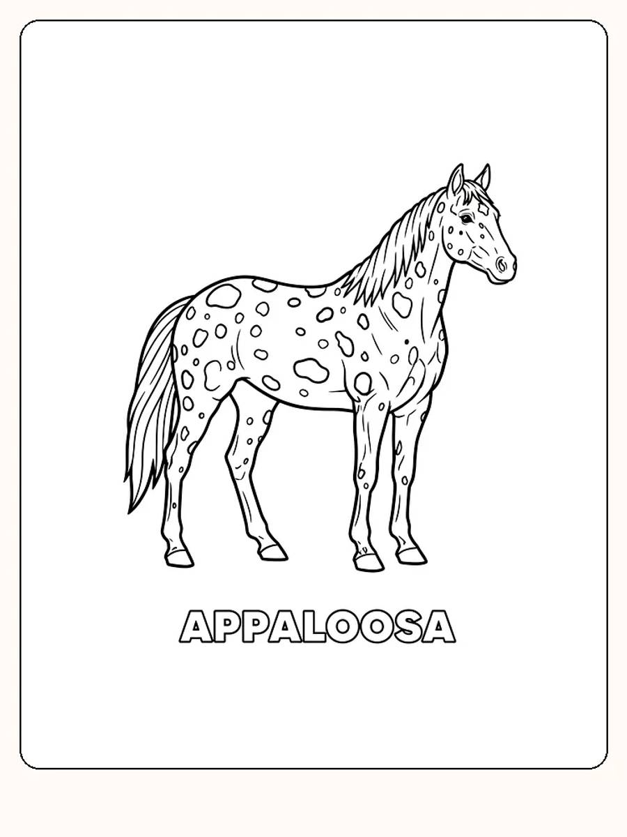 Fargeleggingsbilde av Appaloosa hest med prikkete mønster, klar til å bli fargelagt