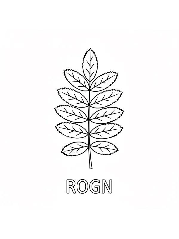 Rognblad for fargelegging, underkategori