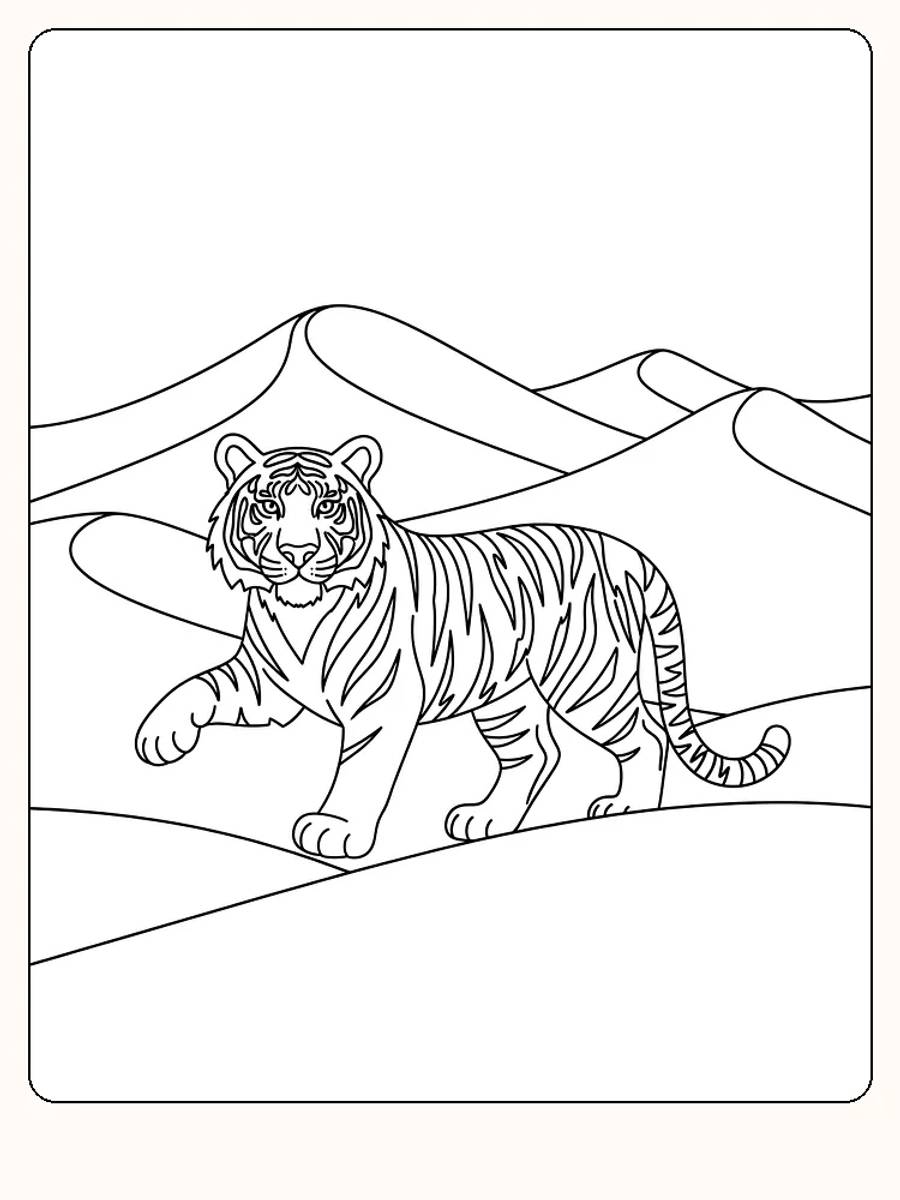 Tegning til farvelægning af en tiger, der går gennem et ørkenlandskab, klar til print