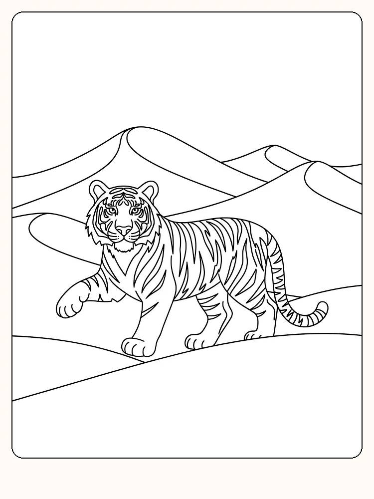 Tegning til farvelægning af en tiger, der går gennem et ørkenlandskab, klar til print
