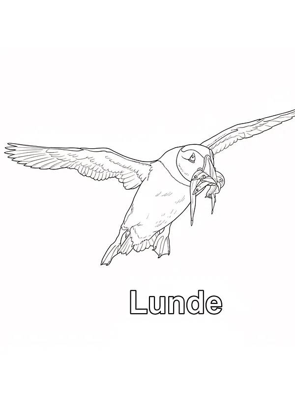 Lunde i flukt med fisk, underkategori