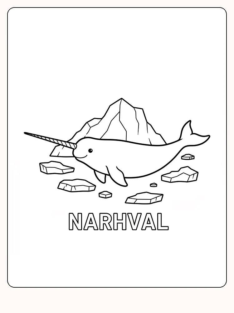 Narhval foran isfjell med isbiter i havet, klar for fargelegging