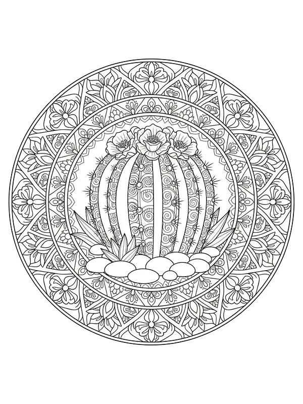 Mandala mit Kaktus und Blumen, Unterkategorie