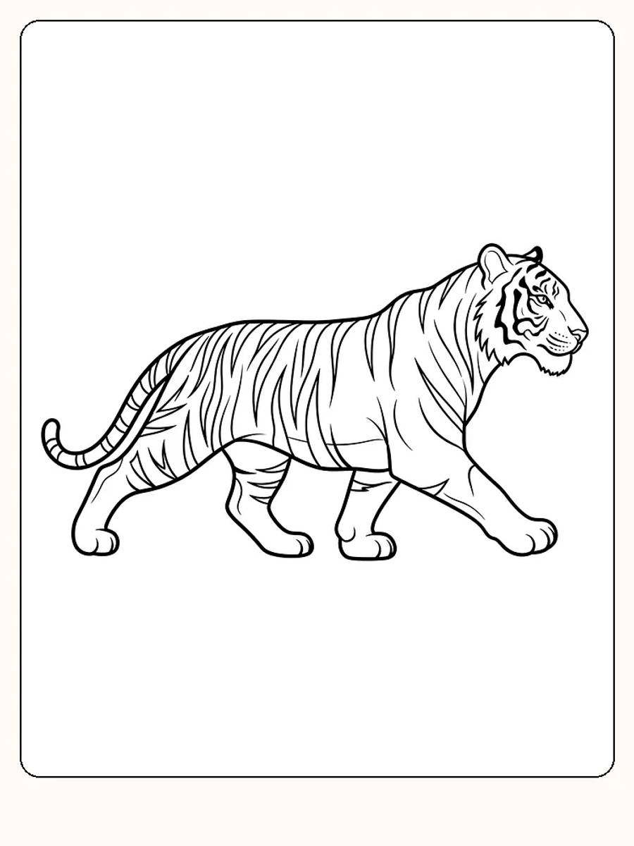 Tegning til farvelægning af en tiger i bevægelse, klar til print