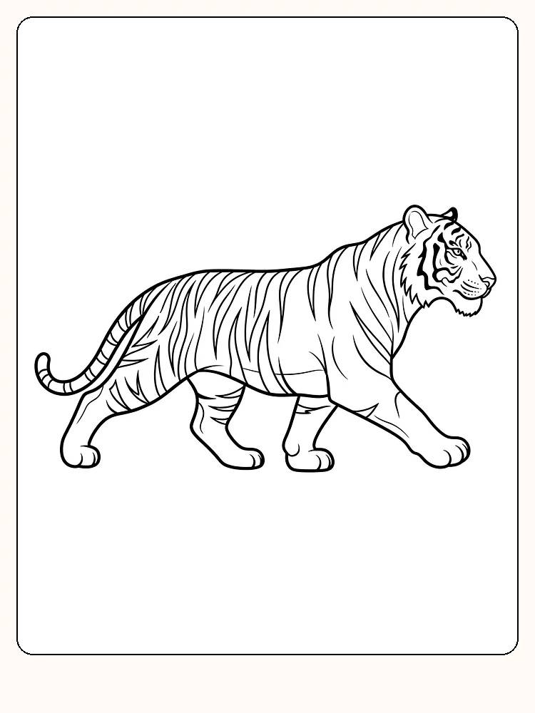 Tegning til farvelægning af en tiger i bevægelse, klar til print