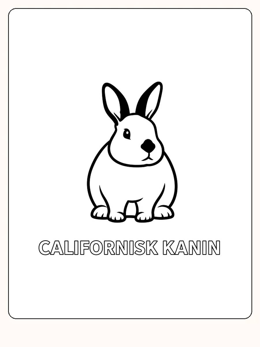 Tegning af en californisk kanin, klar til at blive farvelagt og pyntet