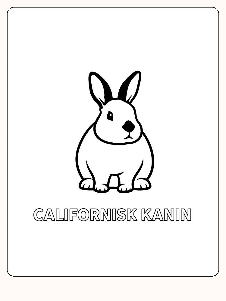 Tegning af en californisk kanin, klar til at blive farvelagt og pyntet