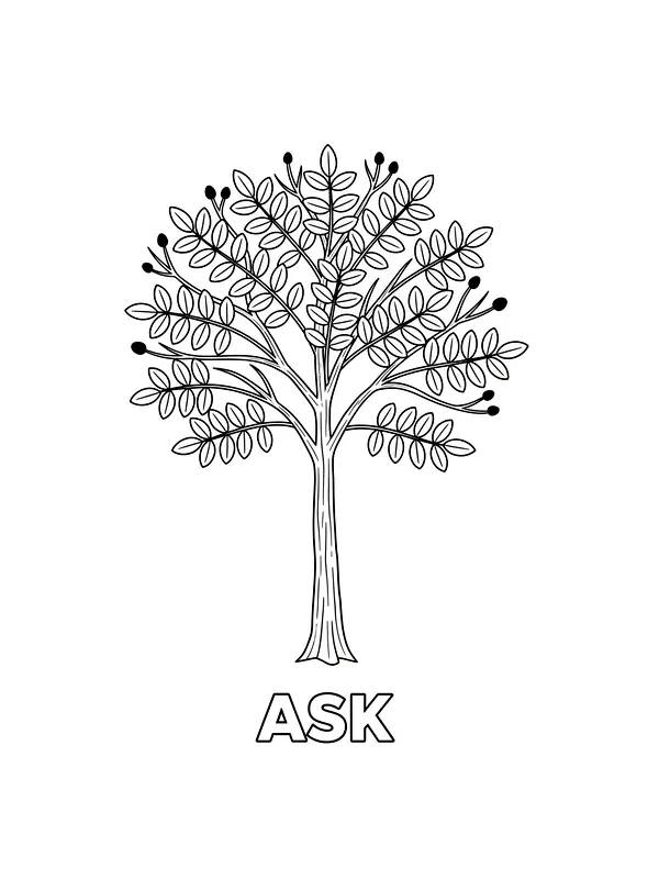 Ask-tre med blader