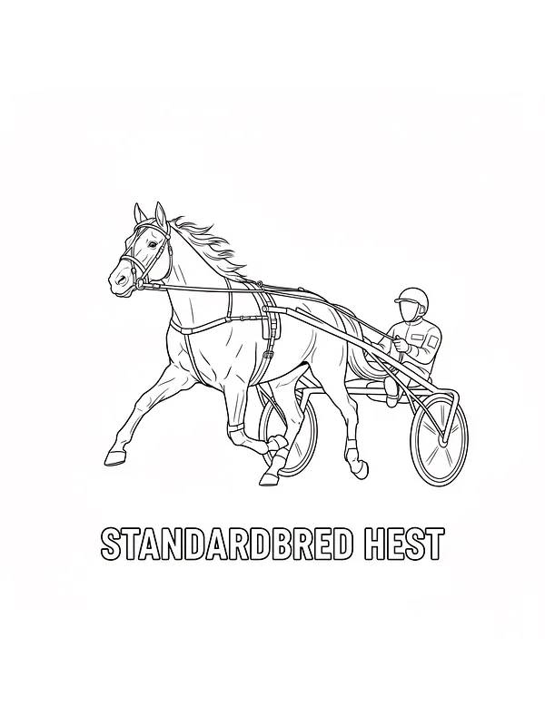 Standardbred hest med kusk, underkategori
