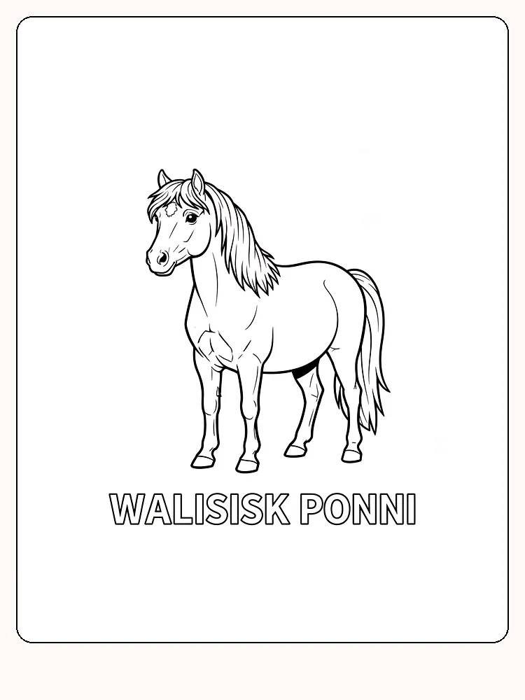 Fargeleggingsbilde av en walisisk ponni, perfekt for barn som elsker hester