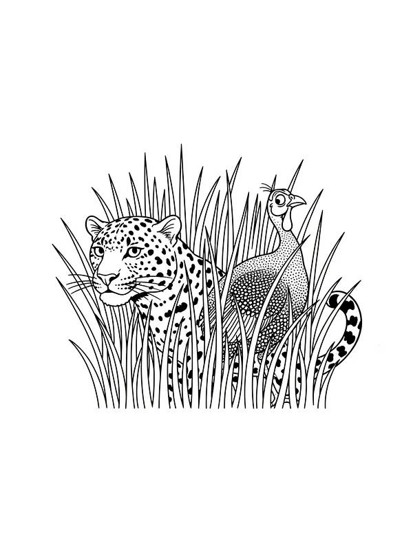 Leopard og fugl i gresset, underkategori