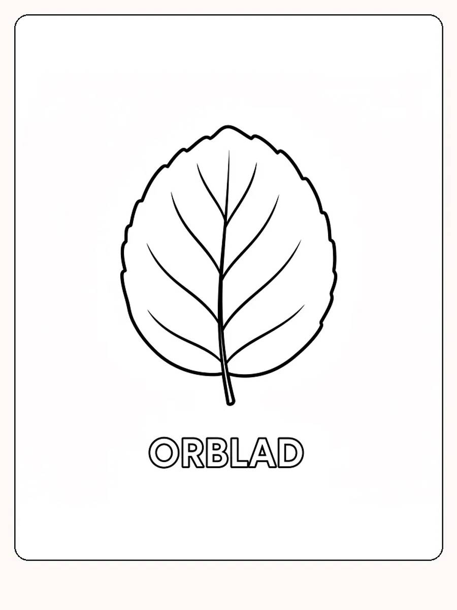 Fargeleggingsark med illustrasjon av et orblad, klar for utskrift
