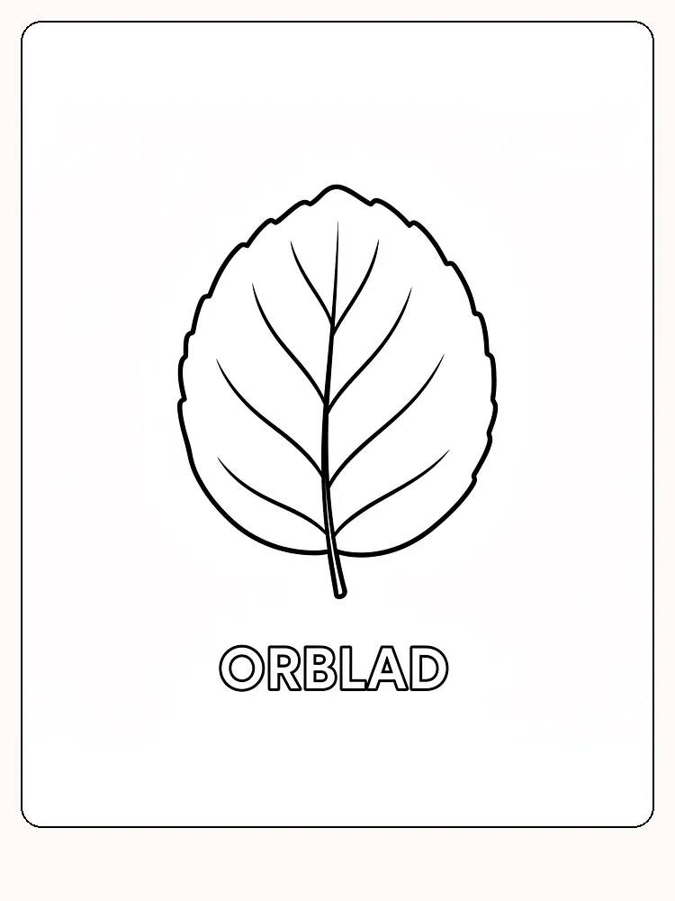 Fargeleggingsark med illustrasjon av et orblad, klar for utskrift