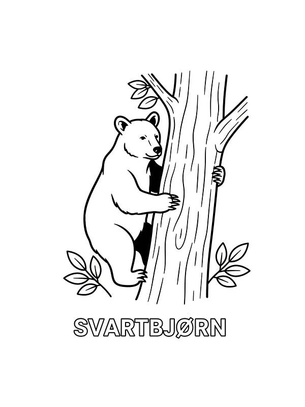 Svartbjørn klatrer i tre, underkategori