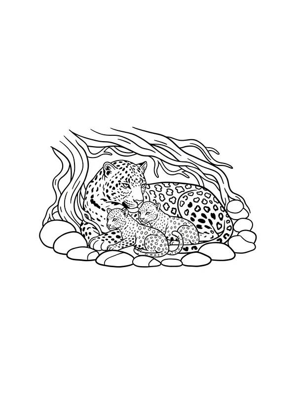 Leopard med unge i grotte, underkategori