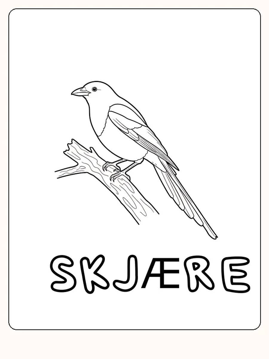 Tegning til fargelegging av en skjære som sitter på en gren, klar til utskrift
