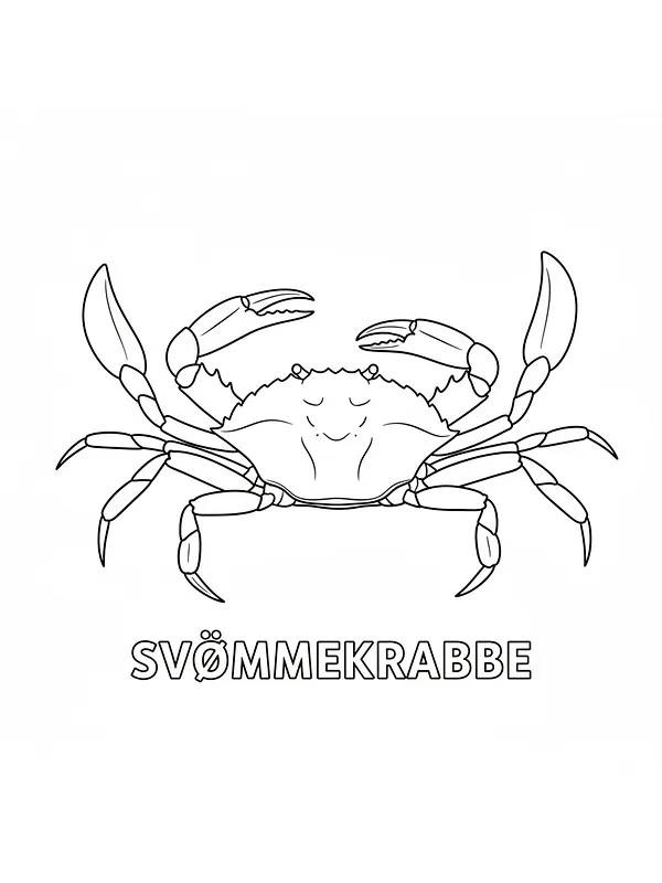 Svømmekrabbe for fargelegging, underkategori