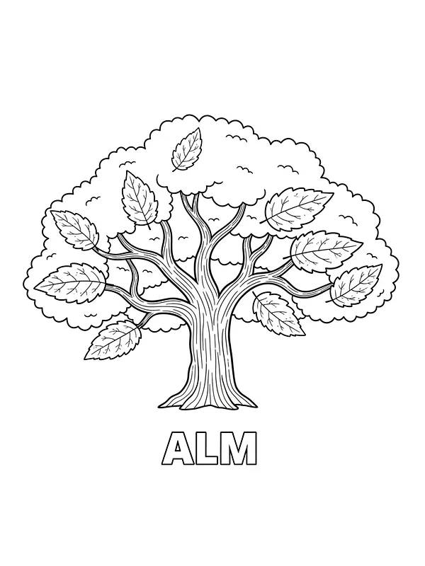 Alm-tre med blader