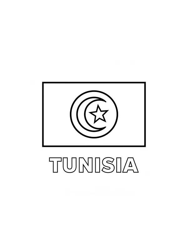 Tunesische Flagge, Unterkategorie